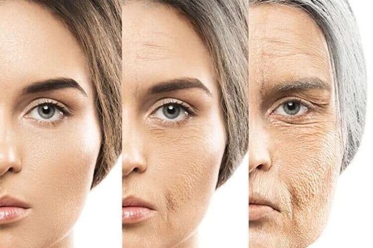 Kolajen ve Elastin: Cildin Gençlik İksiri Nasıl Çalışır ve Nasıl Desteklenir?
